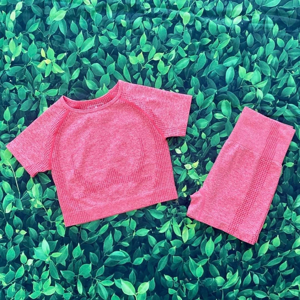 2 piece workout set